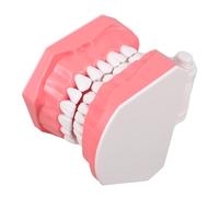 BELLIFFY Modelo de Dientes de Plástico para Enseñanza, Modelo de Tipodonto Educativo Estructura Oral Realista, Herramienta de Formación Docente y Apoyo para Higiene Bucal en Escuelas y