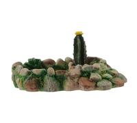 BELLIFFY Plato De Piedra para Reptiles Bebedero y Comedero para y Tortugas Diseño Científico Resistente y Fácil De Limpiar