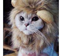 Bello Luna Peluquería de Cabello para Perros pequeños y Gatos, Peluca de león Peluca para Cachorros Cosplay de Halloween