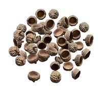 Bellotas Naturales para Manualidades - 100 Tapas de Bellotas - Decoraciones Florales para Bodas, Hogar, Acción de Gracias, Navidad- Tapas de Bellota Natural