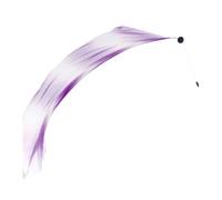 Belly Dance Veil | With Ball Silk Colorful Gradient Lightweight Streamer