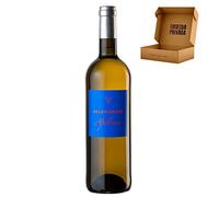 Belondrade y Lurton - Envio 24h - Mejor Vino Blanco - Cosecha Privada (1 x Botella 75 cl, Quinta Apolonia)