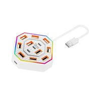 BELOWSYALER Hub USB 2.0 con 13 puertos, divisor USB de escritorio con 480 Mbps y borde de luz 12 A y 1 puerto de datos tipo C,