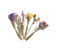 BELOWSYALER Juego de jaulas florales secas coloridas para hámsteres, ropa de cama natural segura y adorno de hábitat, ropa de cama de hámster