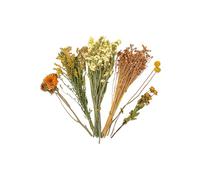 BELOWSYALER Juego de jaulas florales secas coloridas para hámsteres, ropa de cama natural segura y adorno de hábitat, ropa de cama de hámster