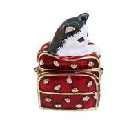 BELOWSYALER Preciosa caja de baratijas con forma de gato con revestimiento resistente al deslustre, decoración multifuncional, platos de joyería para dormitorio, baño, revestimiento de aleación