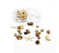 BELTI Pequeña Playa Natural Seashell Starfish Decoración náutica Nail Art Jewelry Making