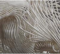 Beltran, John - Everything At Once