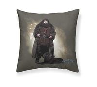 BELUM | Funda Cojín Harry Potter Tamaño: 50x50 - Modelo: Hagrid A - Tejido: Half Panama 100% algodón. 250 Grs.