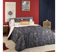 BELUM | Funda nórdica Harry Potter | Funda nórdica Modelo Harry Potter Gold | Funda Nórdica con Botones | Funda nórdica 100% algodón | Funda Nórdica (Cama de 120 (200X200 cm.)