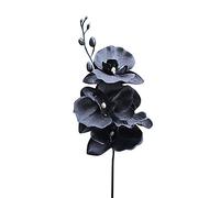 belupai Flor Artificial de Phalaenopsis de una Sola Rama, 15 Orquídeas Negras Falsas de Tallo Largo a Granel de Seda Sintética Bailando Dama Ramo para el Hogar, Oficina, Boda, Fiesta,(Negro)