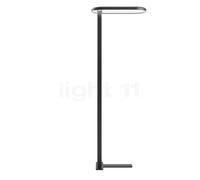 Belux Kido, lámpara de pie LED con sensor de luz diurna, negro - asimétrica - T pie - 3.000 K