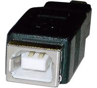 BeMatik - Adaptador USB (BH/MiniUSB5pin-M) Tipo B