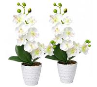 Bemonew Orquídeas Artificiales, 2 Piezas de Flores realistas de orquídeas Artificiales en Maceta, decoración del hogar Lista para Usar, Blanco, 32 cm/12, 6 Pulgadas