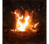 Ben Fuller - Walk Through Fire [Vinilo]