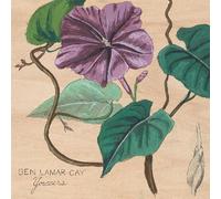 Ben Lamar Gay - Yowzers [Vinilo]