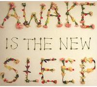 Ben Lee - Awake Is The New Sleep