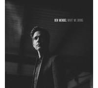 Ben Wendel - What We Bring