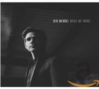 Ben Wendel - What We Bring