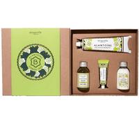 Benamôr Crema protectora de manos Alantoíne