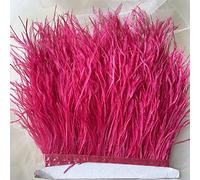 Bene Omnia - Plumas de avestruz con flecos, esponjosas, para hacer tocados y manualidades, 36 colores, paquete de 1 metro Melón de Agua