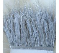 Bene Omnia - Plumas de avestruz con flecos, esponjosas, para hacer tocados y manualidades, 36 colores, paquete de 1 metro Gris Siver