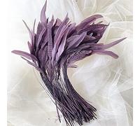 Bene Omnia Plumas de coque sueltas naturales para Millinery & Fascinators Haciendo sombrero, disfraz de plumas de gallo teñidas de 5 a 7 pulgadas (# 45 berenjena, 25 unidades)