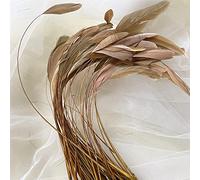 Bene Omnia Plumas de coque sueltas naturales para Millinery & Fascinators Haciendo tocado Disfraz de plumas de gallo teñidas 5-7 pulgadas (# 06 oro, 10 unidades)