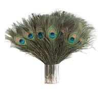 Bene Omnia Plumas de pavo real naturales, plumas de ojo verde, decoración de boda, Navidad, Halloween, proyectos de manualidades (25-30 cm, 50 piezas)