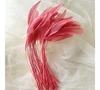 Bene Omnia Plumas naturales de gallo a rayas para sombreros y tocados, para hacer diademas y disfraces, plumas de gallo teñidas estilo coque, 12.7 - 17.8 cm (#39 Coral, 10 unidades)