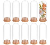 BENECREAT 10 copas de cúpula decorativas. Campana de cúpula de cristal grande de 10,5 x 4,7 cm, con base de corcho para almacenamiento de flores, muestras, decoración de manualidades