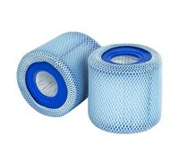 Benfosh 2 unidades de Redes de Protección+2 unidades de Cartuchos Filtrantes para POOLPURE Filtro Escapes de Verano Tipo D,para Olas de Verano P57100102,SFS-350 RP-350,P57000104