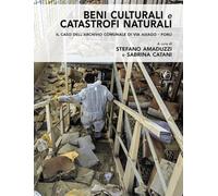 Beni culturali e catastrofi naturali. Il caso dell'Archivio comunale di via Asiago - Forlì (Arte)