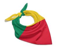 Benin Flag Soft Imitated Silk Neck Scarf Multi-Purpose Head Hair Wrap Wrist Handkerchief Bag Decor Kerchief For Daily Wear(18"x18")