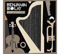 Benjamin Biolay - l'auditorium - Live