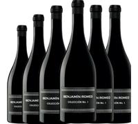 Benjamín Romeo Colección nº1 Parcela La Liende, vino tinto español de crianza con 15% Vol., elaborado con Tempranillo, ideal entre 14º y 16ºC| 6 botellas