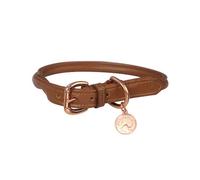 Benji & Flo Collar para Perros de Cuero Superior (BZ4904)