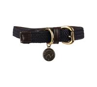 Benji & Flo Collar para Perros de Forrado con Cuero Diseño Entrelazado (BZ5328)
