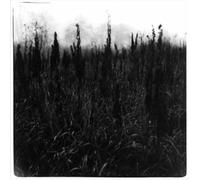 Bennet,David & Vilhelm Bromander - Within Reach Of Eventuality