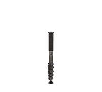 BENRO Monopode Photo Carbonne Adventure MAD49C