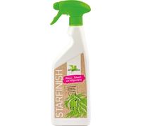 Bense & Eicke StarFinish - 500 ml Bense & Eicke