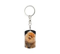BeNtli Llavero de metal rectangular, llavero de metal, llavero de coche, soporte de anillo, 1 pieza,Perro Pomerania Cachorro Lindo