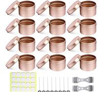 BEOIUCZZY 12 Piezas Tarros de Vela para Hacer Velas, Recipiente de Latas de Metal Vacío con Tapas para Almacenamiento en Seco de Especias, Dulces, Recuerdos de Fiesta, Bodas, Plata, Rosa