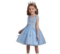 Beokeuioe Vestido de princesa para niñas con flores, mariposas, princesas, piano, disfraz, baile, comunión, cumpleaños, boda, dama de honor, azul, 120