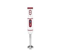 BEPER P102FRU300 Batidora de inmersión sin cable, recargable por USB - Batidora minipimer, multifunción