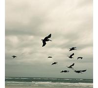 Berger,Karl - In A Moment - Music for Piano and Strings