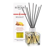 Berger Perfume, difusor de habitación con varillas en un cubo transparente naranja/canela naranja de canela transparente