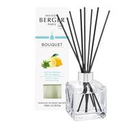 Berger Perfume, difusor de habitación con varillas en un cubo transparente Verbena Peel ZESTE DE VERVEINE TRANSPARENT transparente