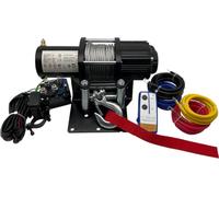 Berger & Schröter 31767 - Cabrestante Profesional (12 V, Cable de Acero)