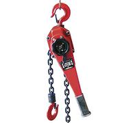 Berger + Schröter 60589 doble 813 Cadena 1000 kg GS